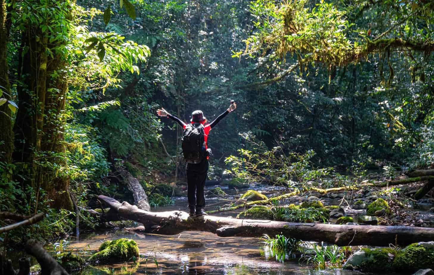 Central Highlands Vietnam Trek 7 Day Itinerary